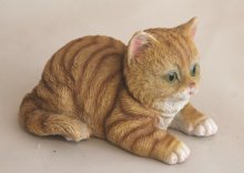 Katze liegend klein, braun