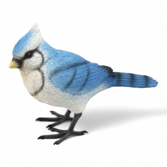 Vogel - zum Schließen ins Bild klicken
