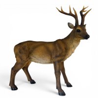 Hirsch