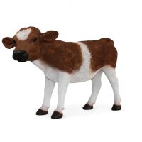 Kalb groß, braun-weiß