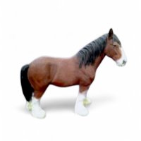 Pony groß