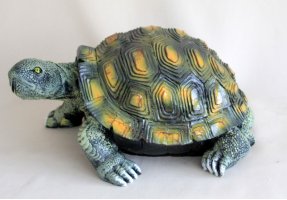 Schildkröte klein