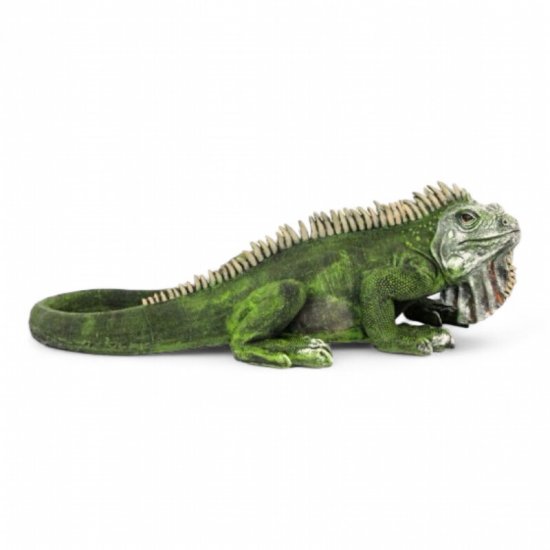 Leguan groß - zum Schließen ins Bild klicken