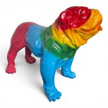 Bulldogge bunt