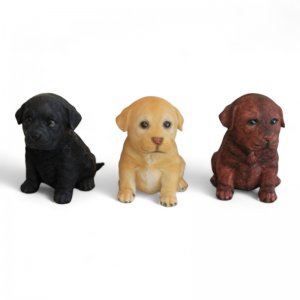 Labradorwelpen 3er Set