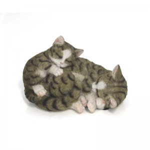 Katze mit Kind, schlafend