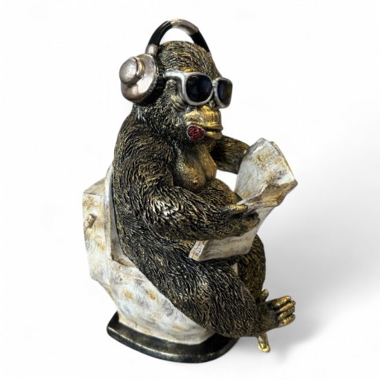 Affe mit Zeitung - zum Schließen ins Bild klicken