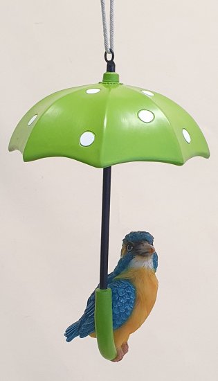 Eisvogel m. Regenschirm - zum Schließen ins Bild klicken