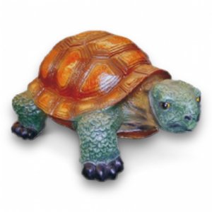 Schildkröte