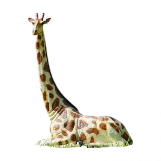 Giraffe liegend - zum Schließen ins Bild klicken