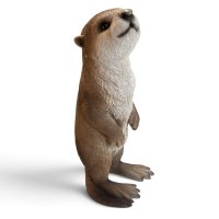 Otter
