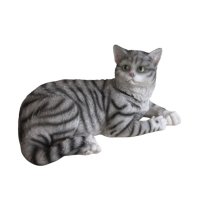 Katze liegend groß, grau