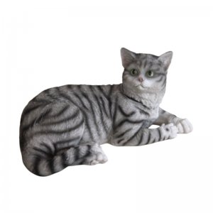 Katze liegend groß, grau