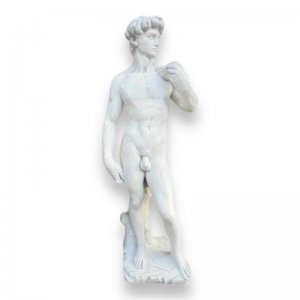 David