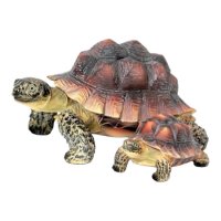 Schildkröte 2-er Set
