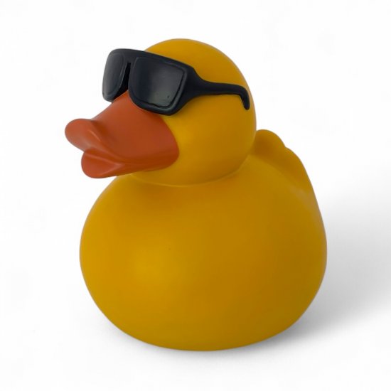 Ente mit Brille - zum Schließen ins Bild klicken