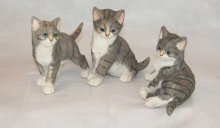 3er Set Katzen gestreift spielend