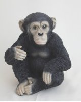 Schimpanse klein