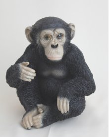 Schimpanse klein