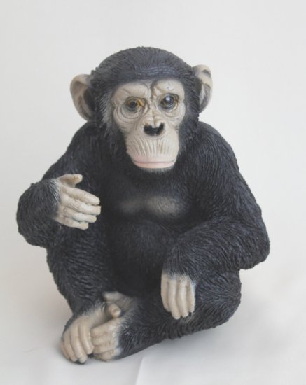 Schimpanse klein - zum Schließen ins Bild klicken