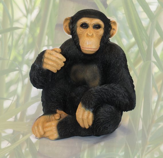 Schimpanse sitzend - zum Schließen ins Bild klicken