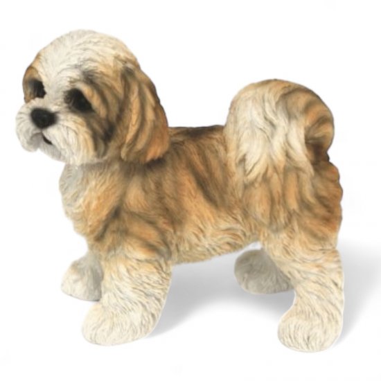 Shih Tzu Welpe stehend - zum Schließen ins Bild klicken