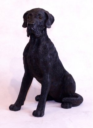 Dogge klein, schwarz