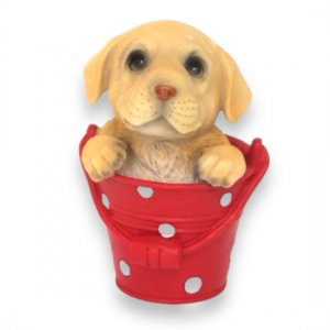 Labrador Eimer rot