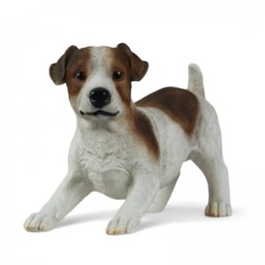 Jack Russel