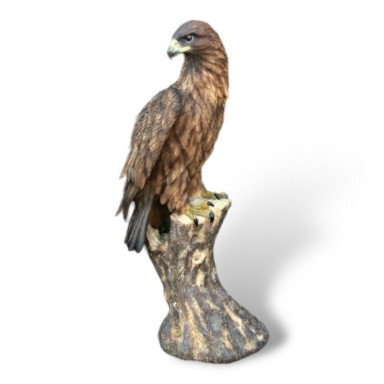 Adler Baumstamm - zum Schließen ins Bild klicken