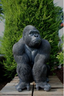 Gorilla Silberrücken, groß