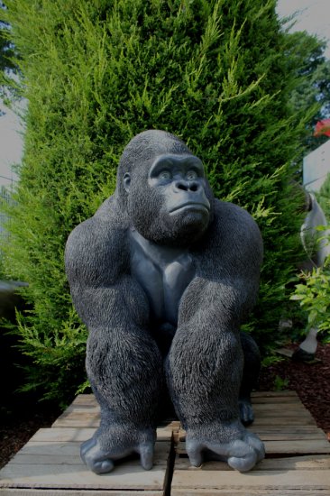 Gorilla Silberrücken, groß - zum Schließen ins Bild klicken