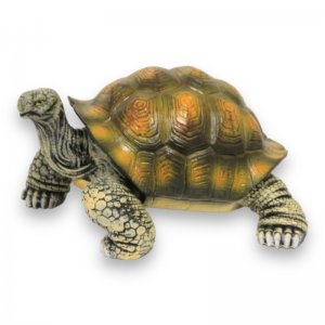 Schildkröte mittel