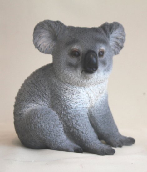 Koalabär - zum Schließen ins Bild klicken