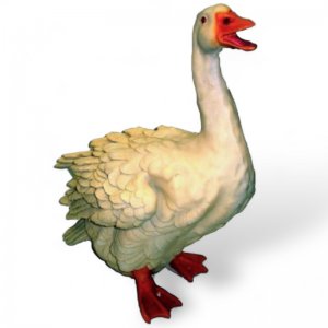 Gans Schnabel