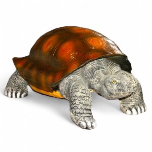 Schildkröte riesig