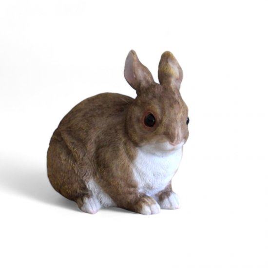 Hase - zum Schließen ins Bild klicken
