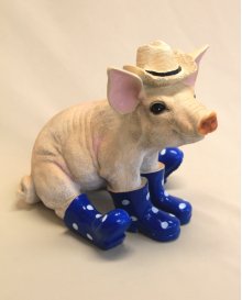 Schwein mit Hut, blau