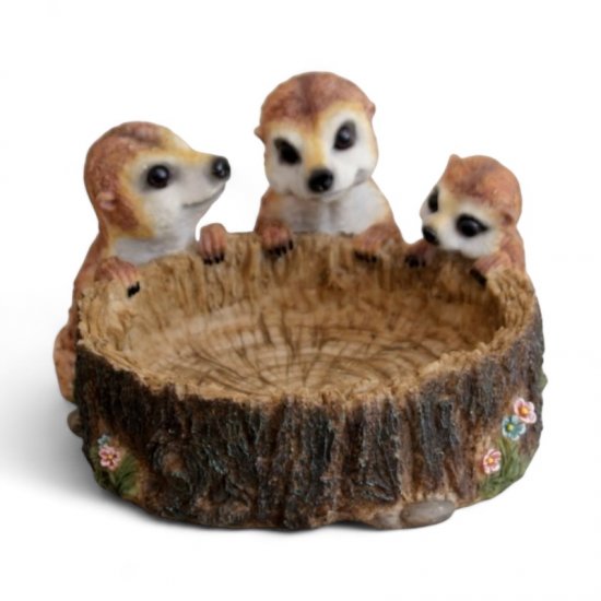 Erdmännchen-Tränke - zum Schließen ins Bild klicken