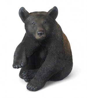 Bär groß