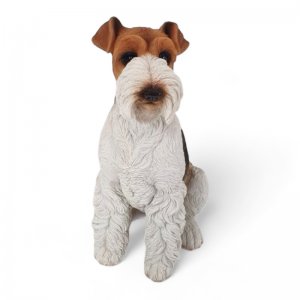 Foxterrier