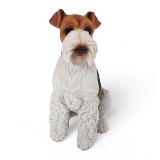 Foxterrier - zum Schließen ins Bild klicken