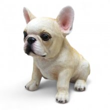 Franz. Bulldogge sitzend