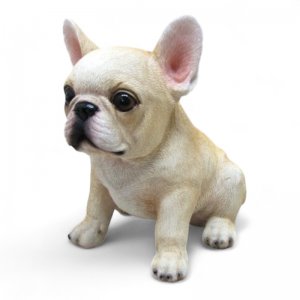 Franz. Bulldogge sitzend