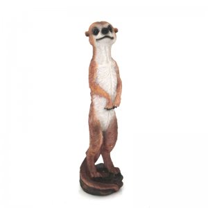 Erdmännchen