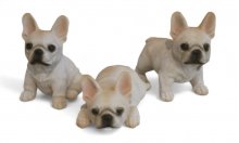 Franz. Bulldogge 3er Set