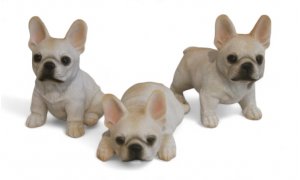 Franz. Bulldogge 3er Set