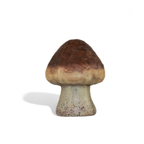 Steinpilz mittel - zum Schließen ins Bild klicken