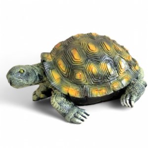 Schildkröte klein