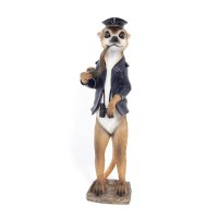 Erdmännchen Kapitän